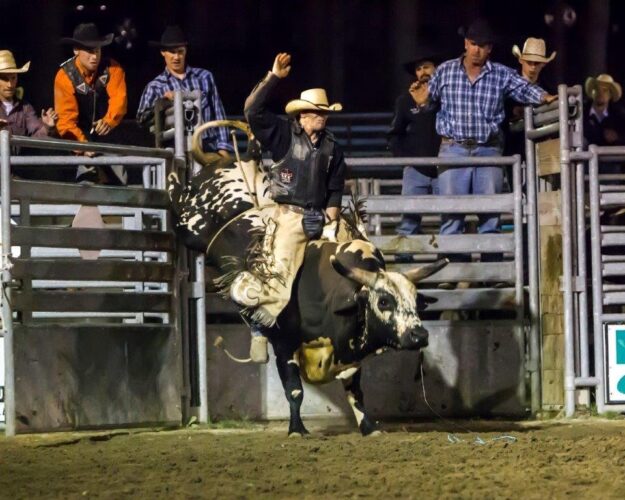 Are you looking for something interesting and fun to do this summer? Look no further than the annual Washington County Fair from August 10-17